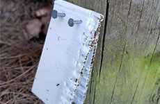 Monitoring and conservation tools