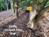 Flipping Timmy possum trap attached to a tree - a dead possum on the ground below. Words - 'easily removed from trap'.