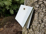 A chew card nailed onto a tree -  to monitor the presence or absence of rats, mice, possums, hedgehogs, stoats, and feral cats.