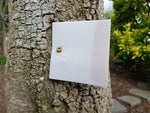 A chew card nailed onto a tree -  to monitor the presence or absence of rats, mice, possums, hedgehogs, stoats, and feral cats.