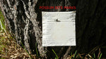 A chew card nailed onto a tree showing possum bite marks. Chew cards monitor the presence or absence of rats, mice, possums, hedgehogs, stoats, and feral cats.