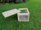 DOC250 trap for ferret, stoat, rat, and hedgehog control, sitting in wooden housing.