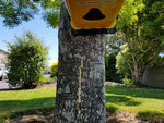 Eggsellent non-toxic lure for possum, rat, and stoat control - squirted down a tree trunk underneath a Flipping Timmy possum trap.