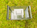 Magpie trap placed in the garden