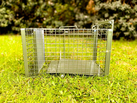 Side-view of the magpie trap showcasing teh mesh and trigger plate.