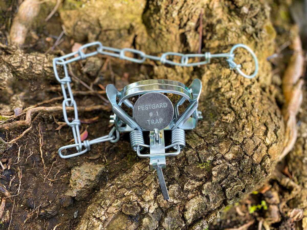 Leg Hold Traps for Possums Connovation NZ