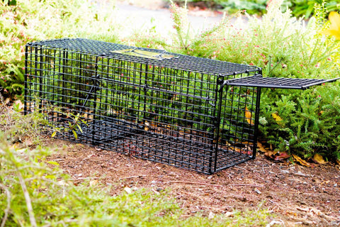 Feral cat traps, Effective feral cat control