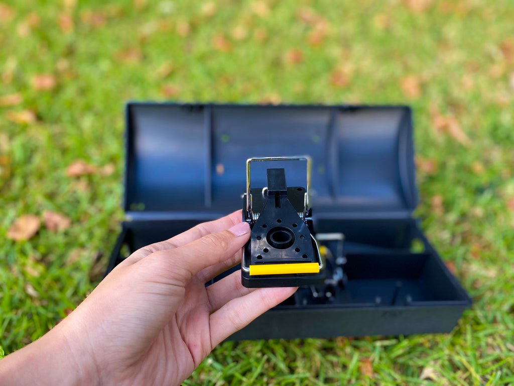 Mouse traps outlet for sale