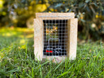 Back end of the Rat Trap Wooden Box Tunnel displaying the mesh and the trap