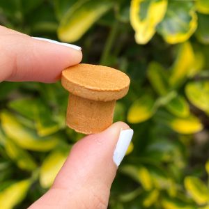 Resoakable Rat Lures