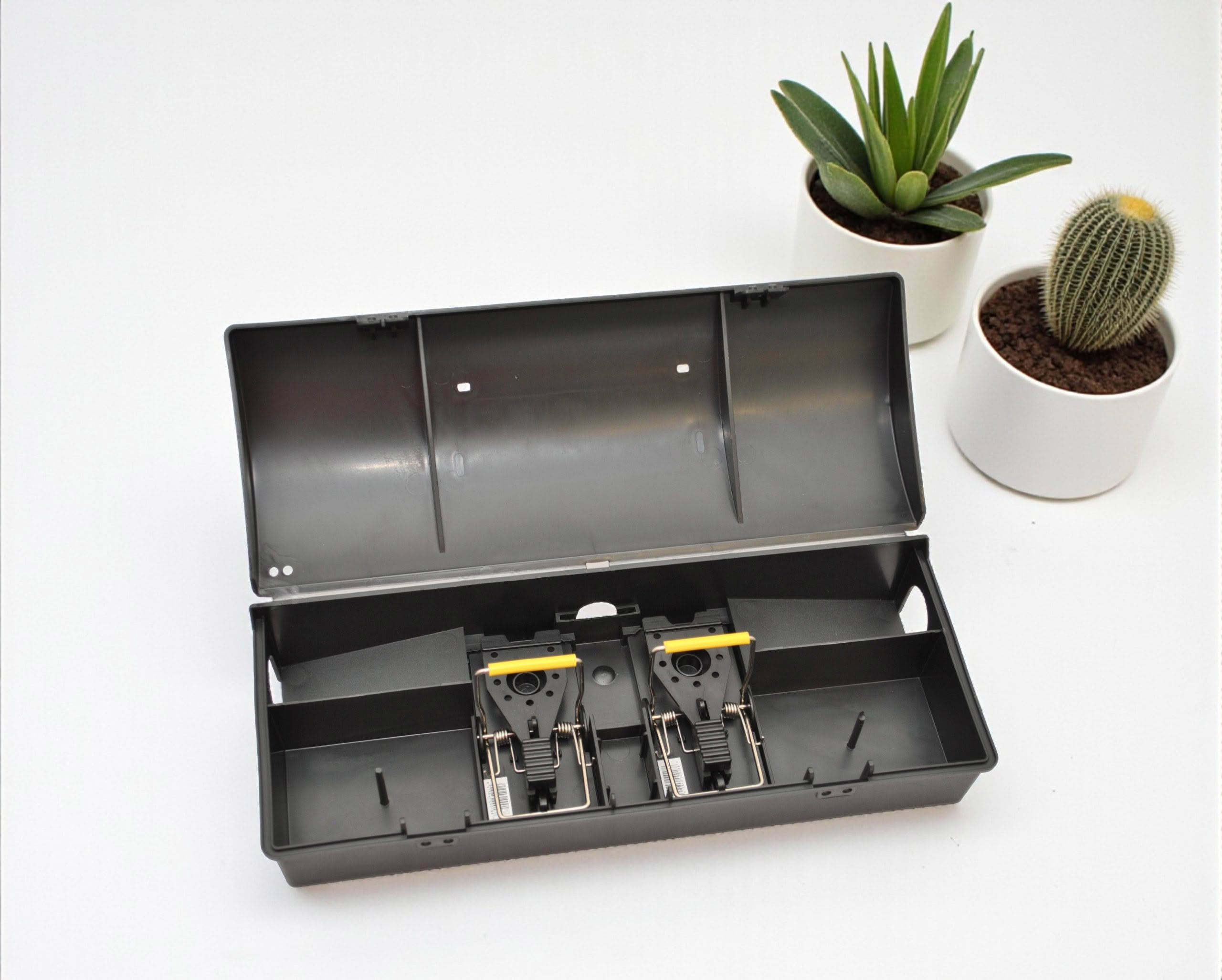 Ranger Stn open with traps