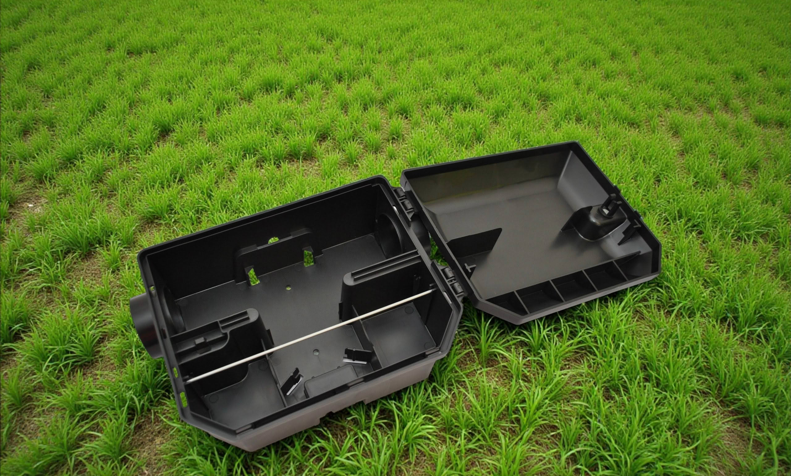 Vanguard Stn open with rod