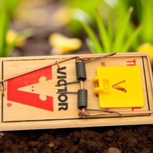 Victor Professional Trap Range