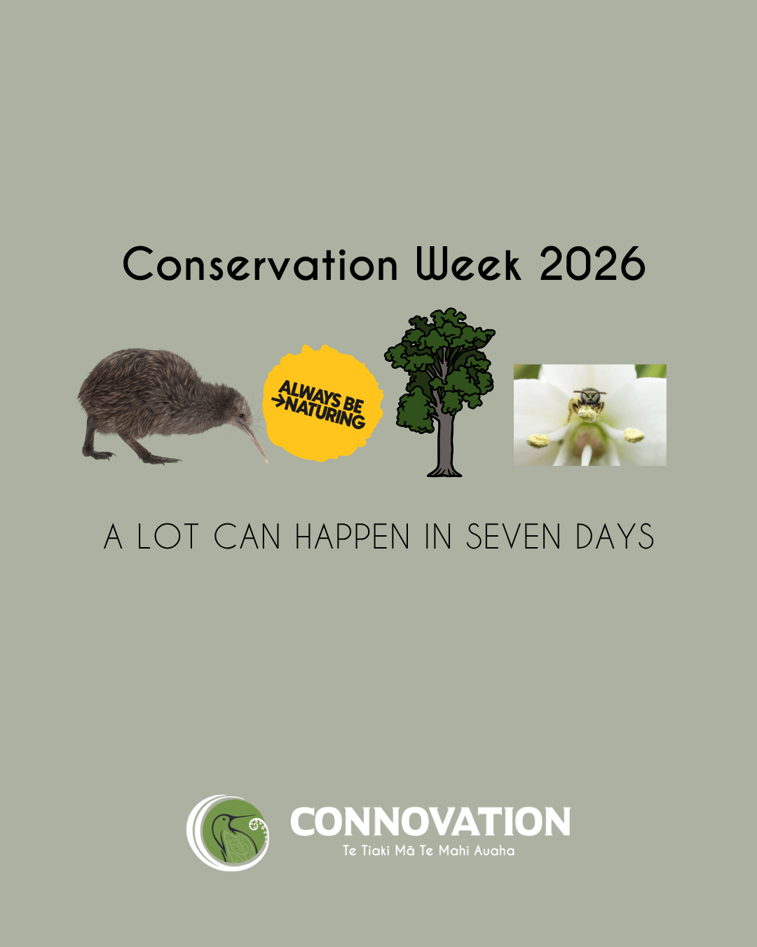 Conservation Week – Te Wiki o Te Taiao 20-26 April 2026