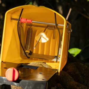 Resoakable Lures - Felt - Flipping Timmy