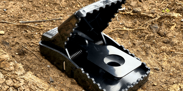 Crocodile Rat Trap - Set