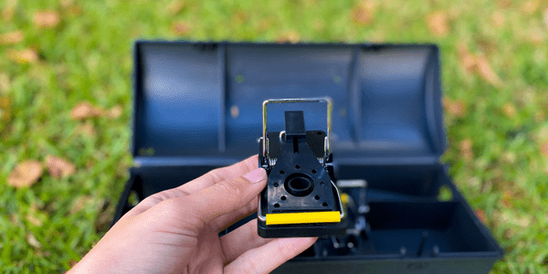 Mouse Trap for Ranger Bait Station
